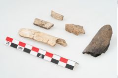 Foto von Leichenbrand (NHMW-PRAE-002243d)